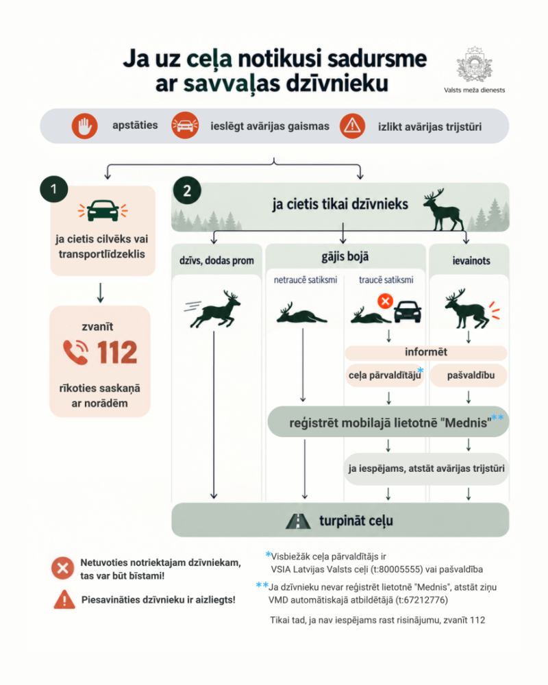 Savvaļas dzīvnieki