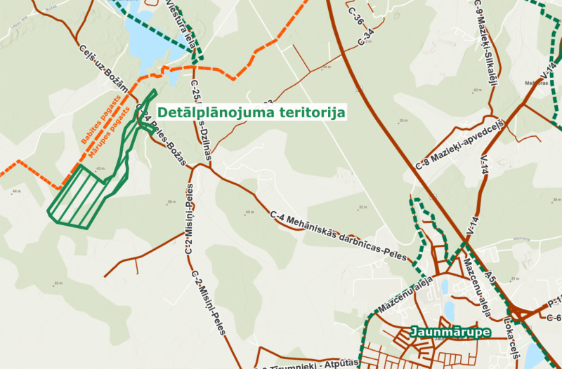 viesturi
