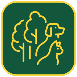 Ikona 