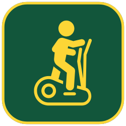 Ikona 