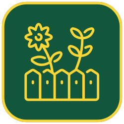 Ikona 