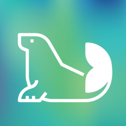 ikona
