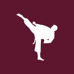 ikona - karate
