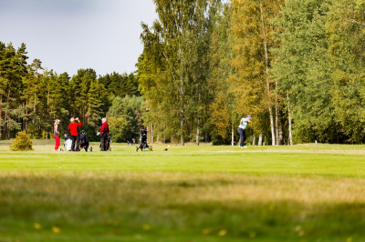 Golfs