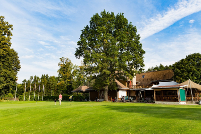 Golfs