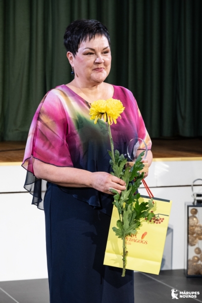 Gada pedagogs 2026