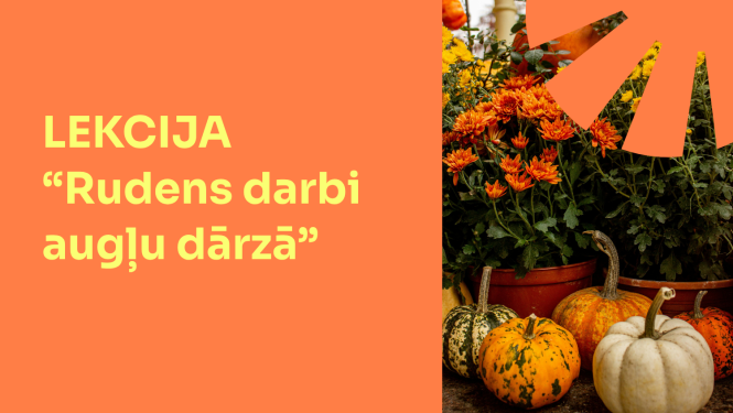 Lekcija “Rudens darbi augļu dārzā”