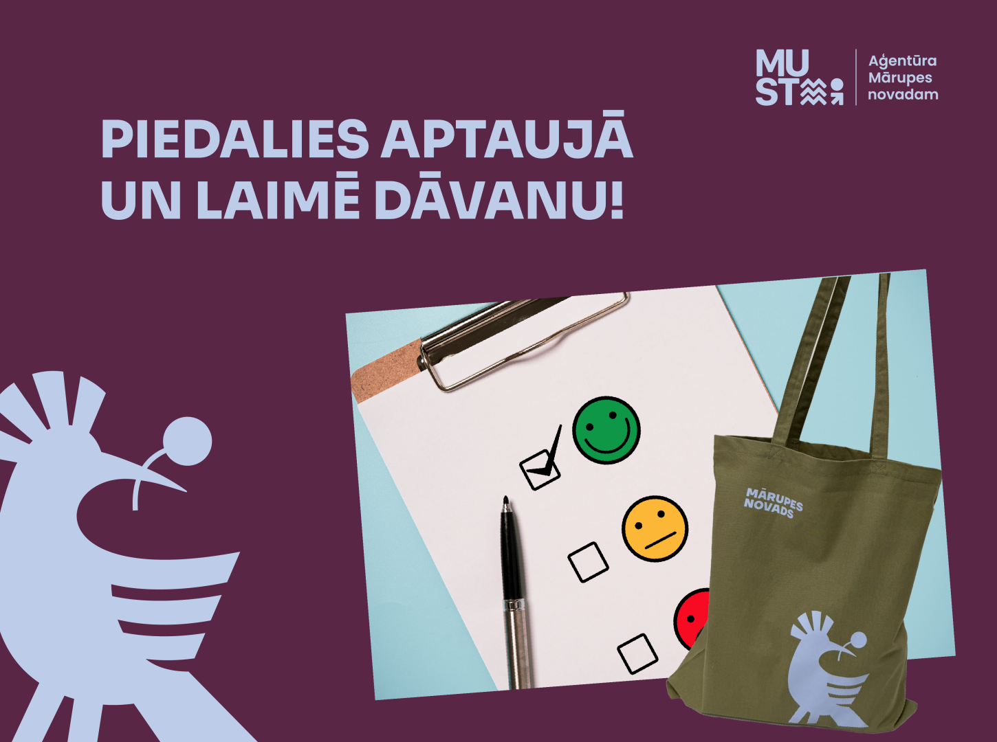 piedalies aptauja
