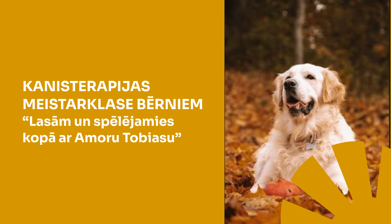 Kanisterapijas meistarklase bērniem 