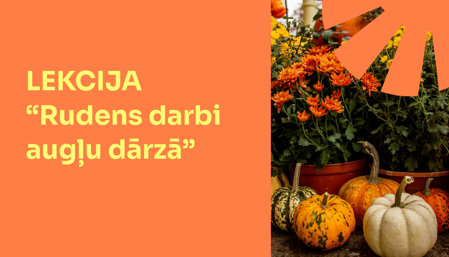Lekcija “Rudens darbi augļu dārzā”