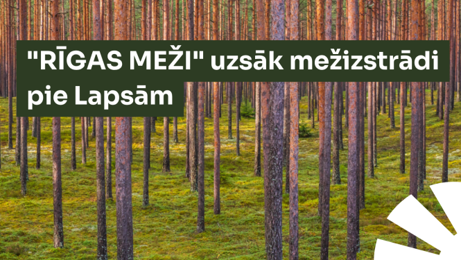 Rīgas Meži