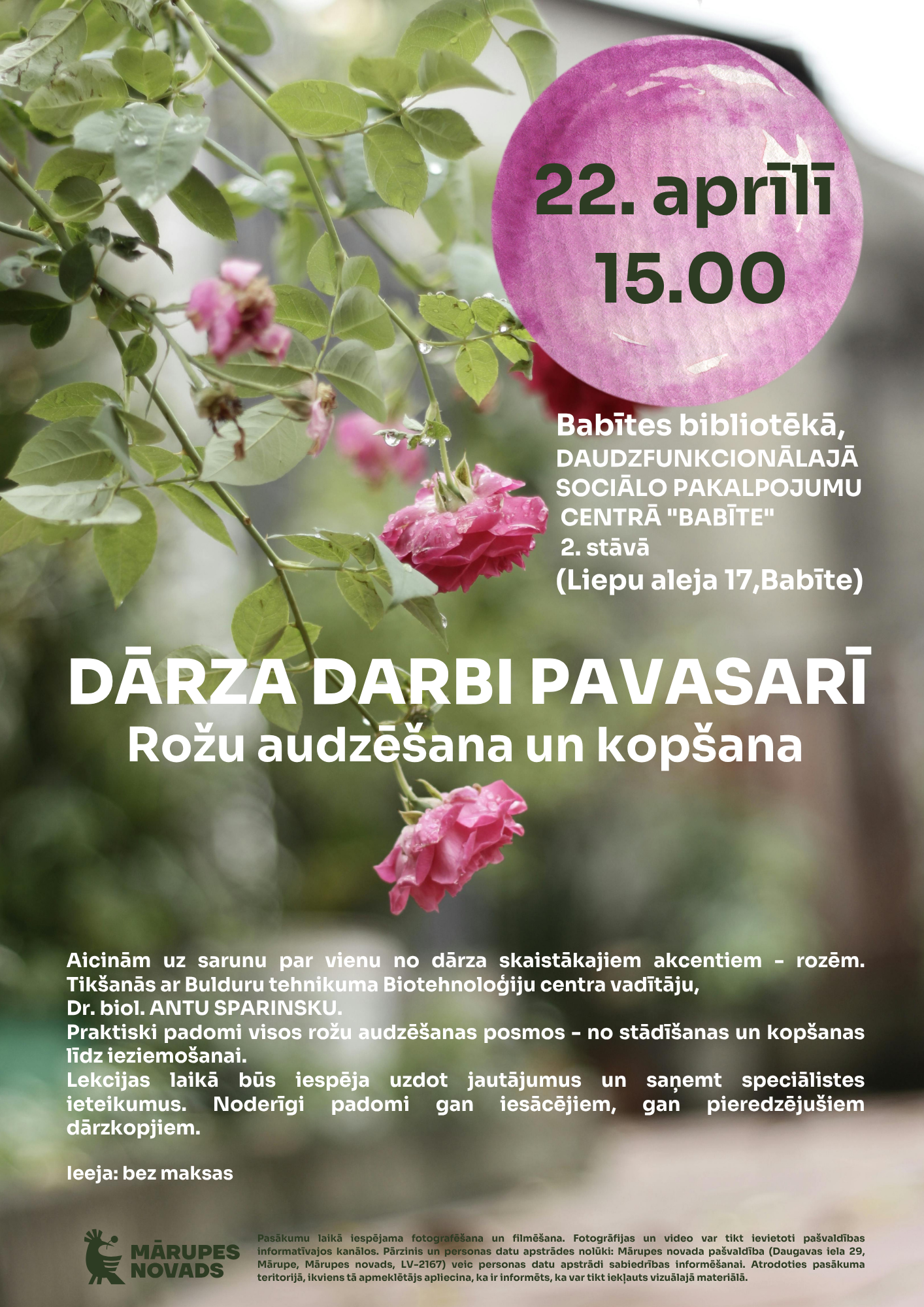 rozā rozes un tekstuāls info par lekciju