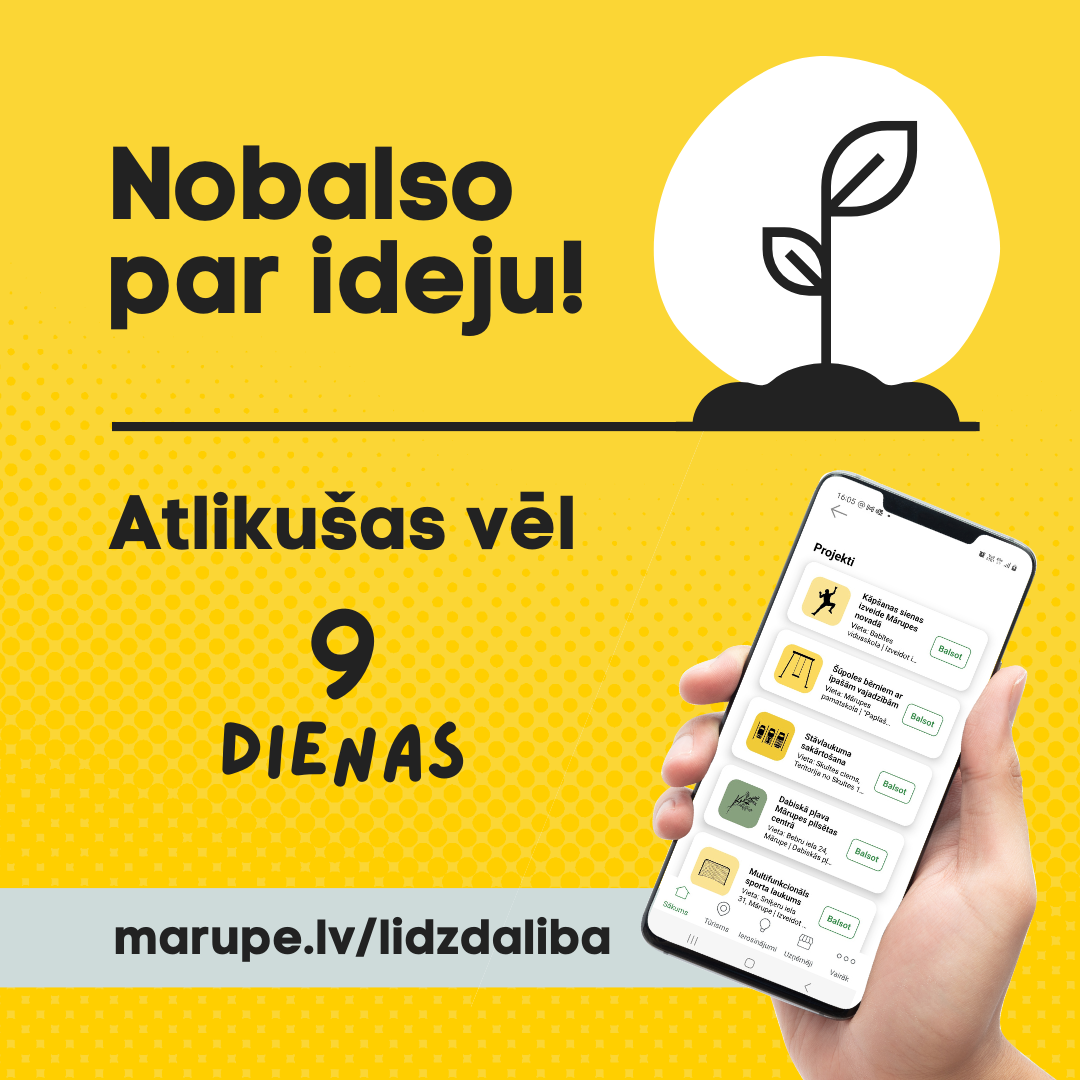 vizuālizācija1