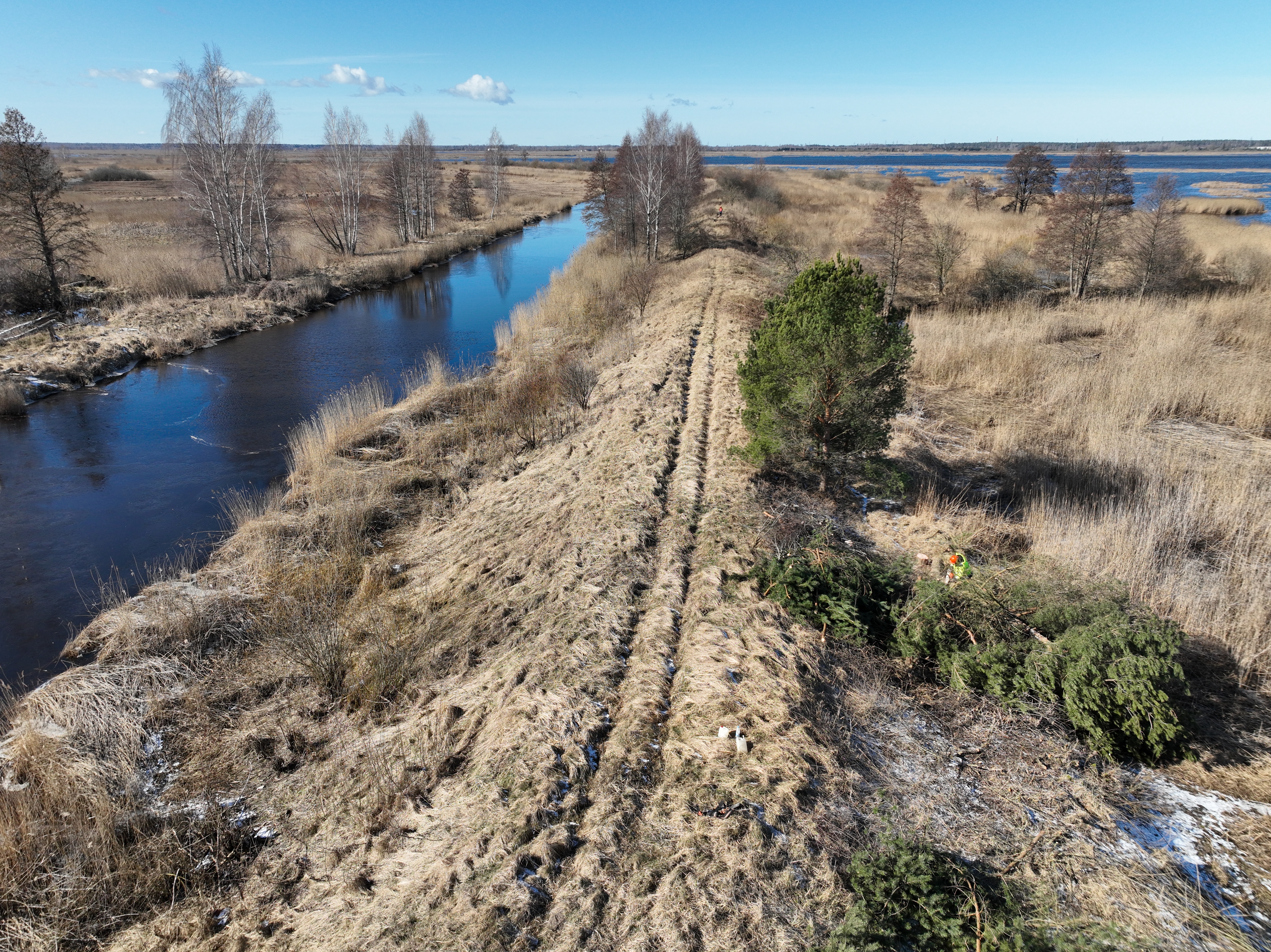 Bļodnieku aizsargdambis