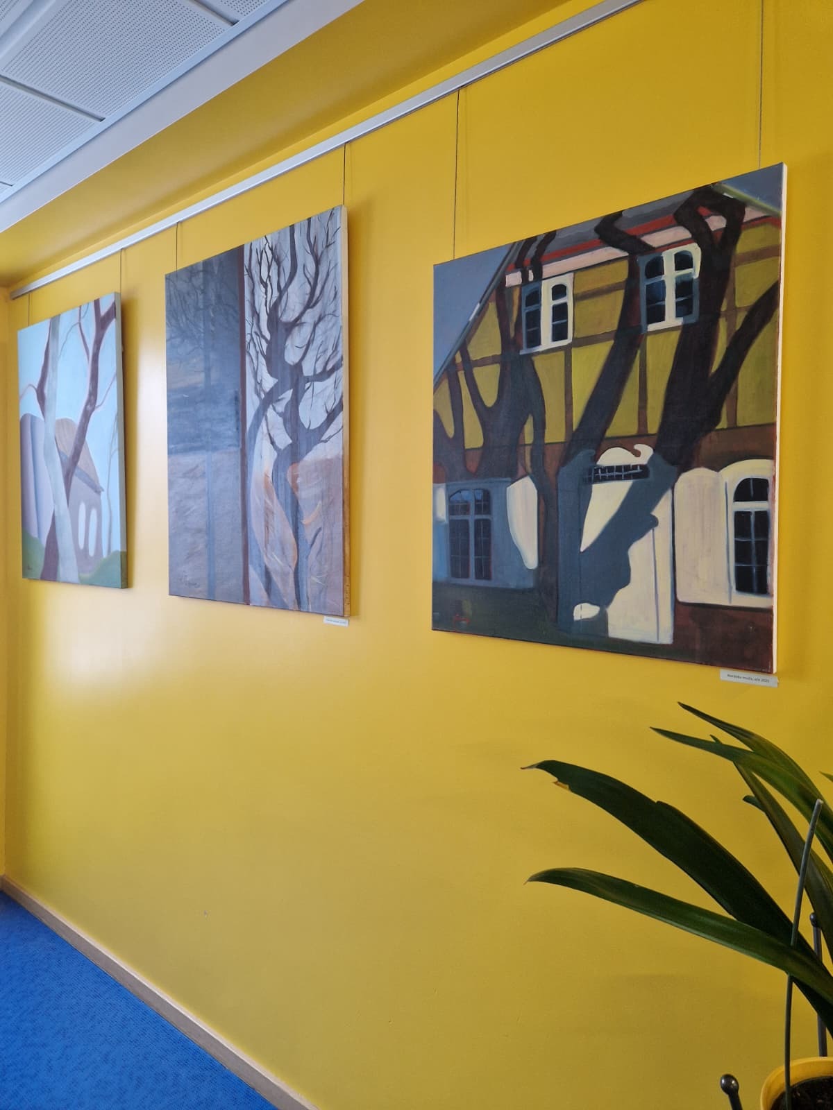 vairākas raibas gleznas pie košas sienas