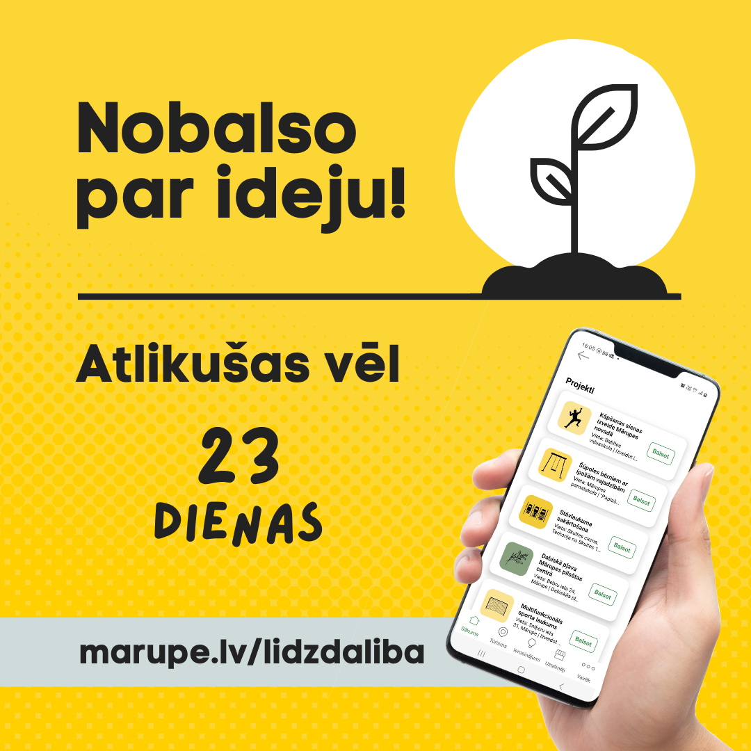 vizuālizācija