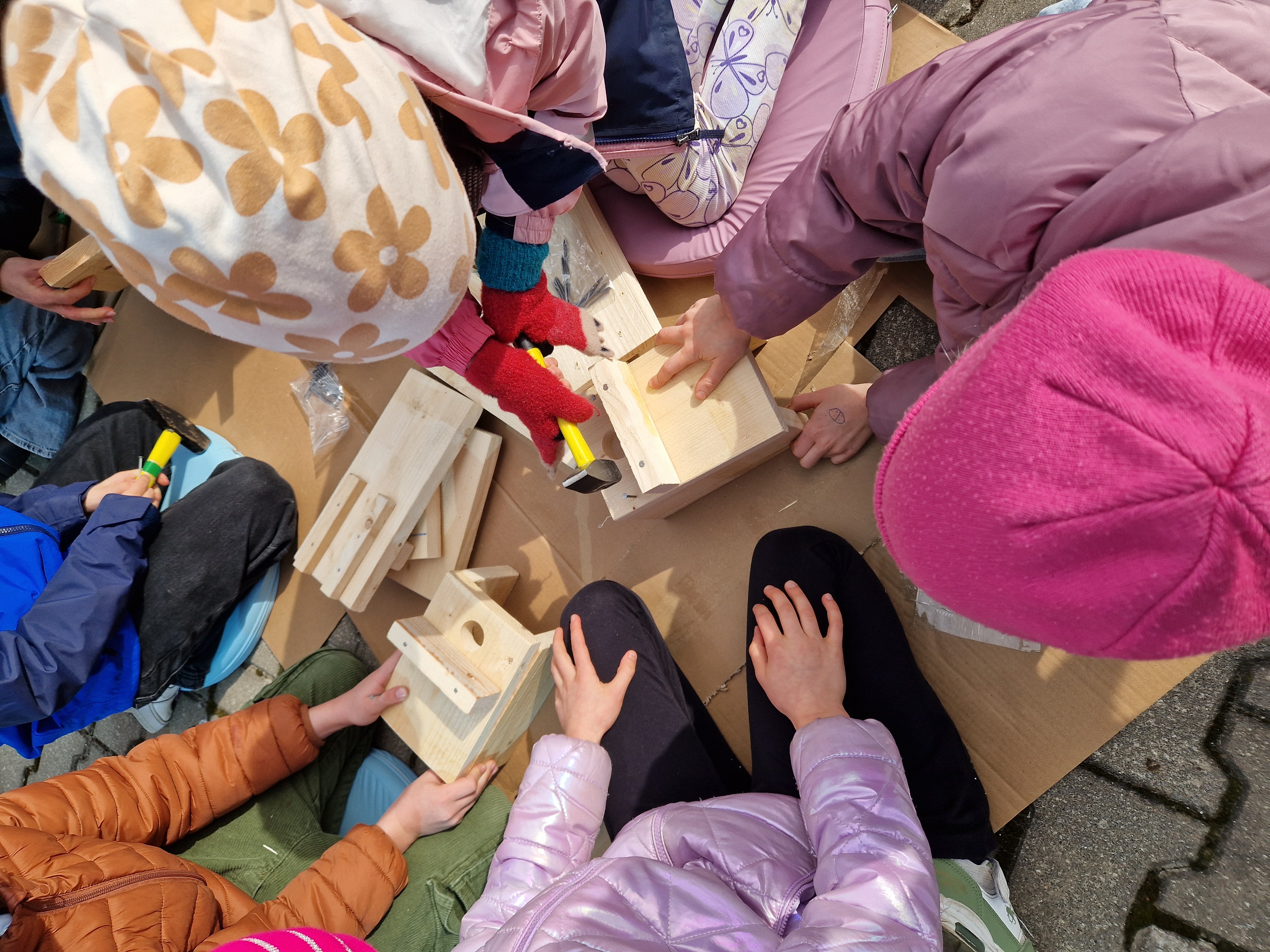 cilvēku grupa brīvdabā veido putnu būrus