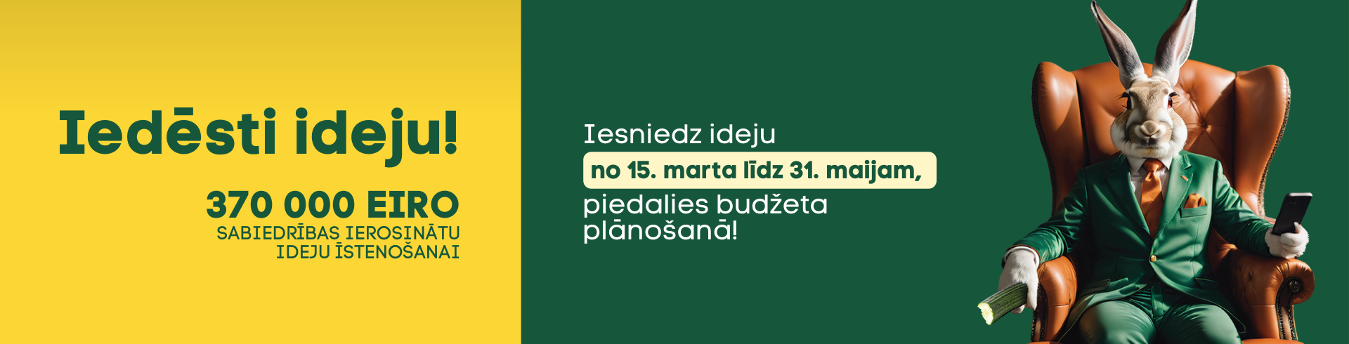 līdzdalības budzēta vizuālis