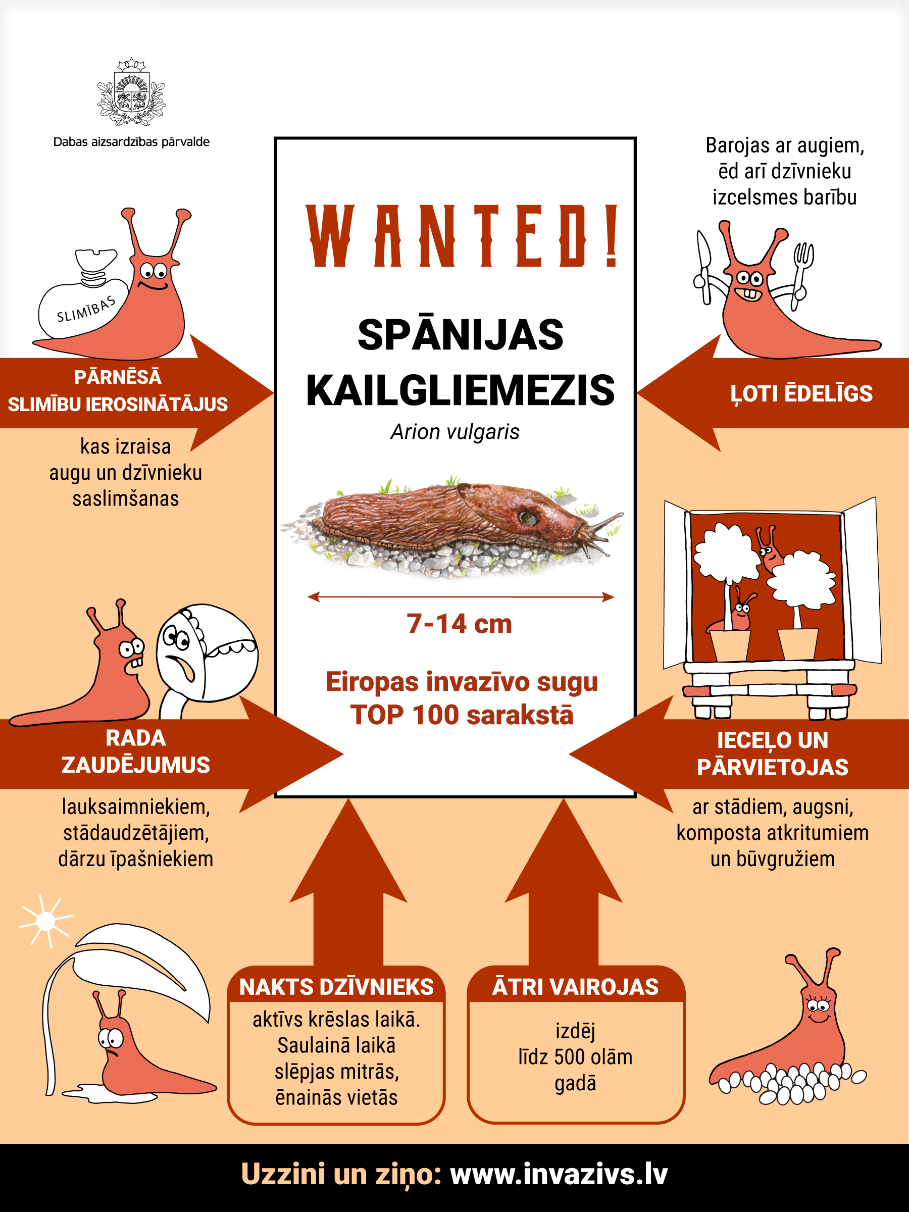 inforgrafika gliemezis2