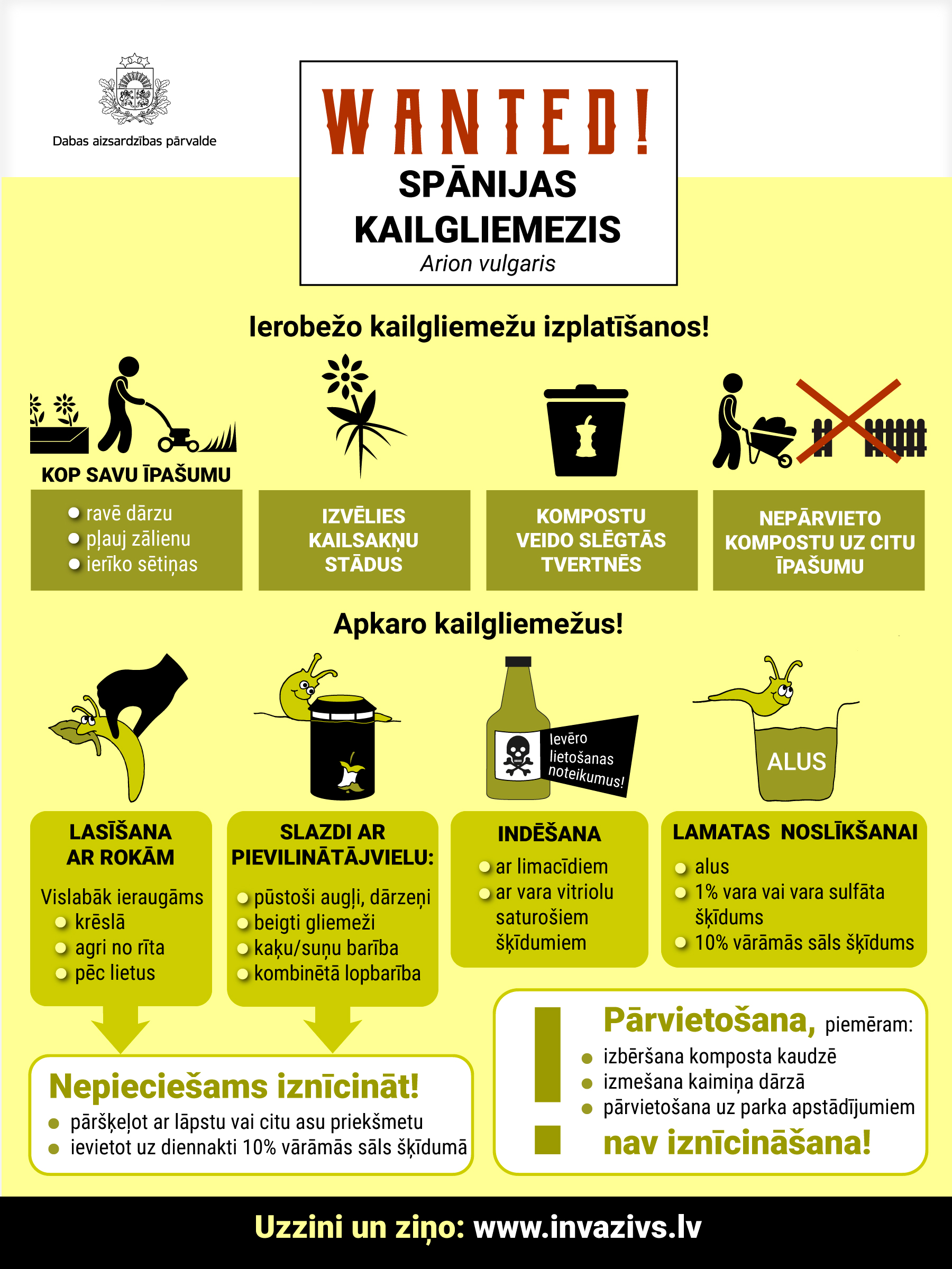 inforgrafika gliemezis