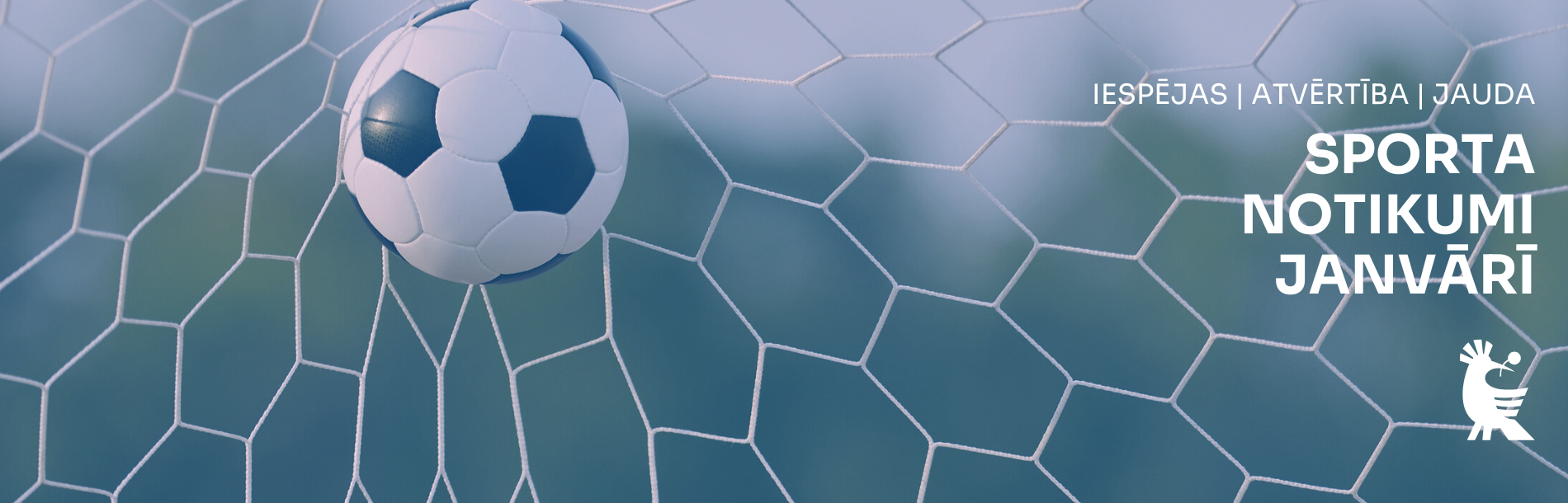 Futbola bumba tīklā