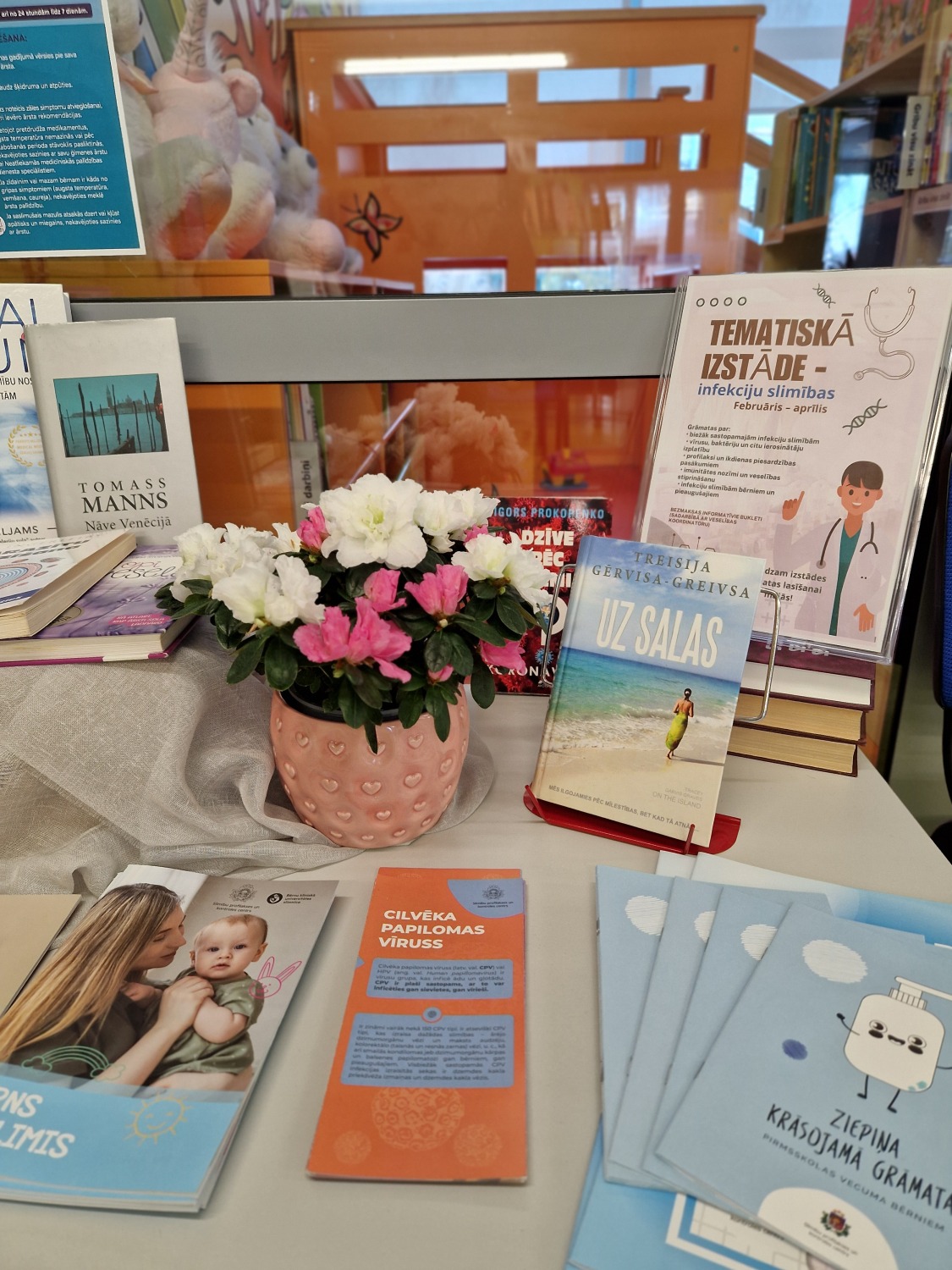 grāmatu izstāde plauktos