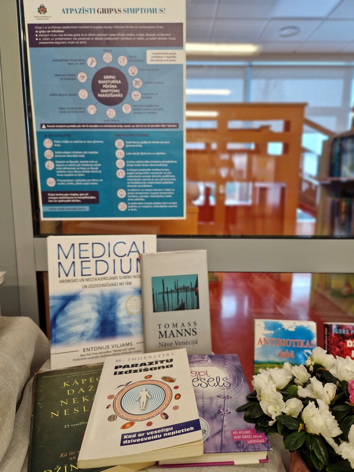 grāmatu izstāde plauktos