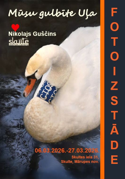 uz tumša fona, balts gulbis