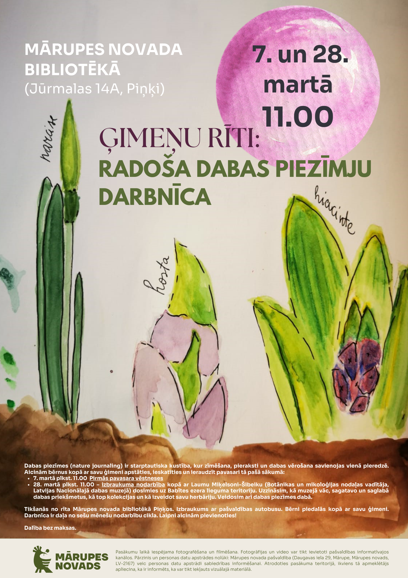 uz pelēcīga fona, akvareļu tehnikā zīmēti pumuri un augi