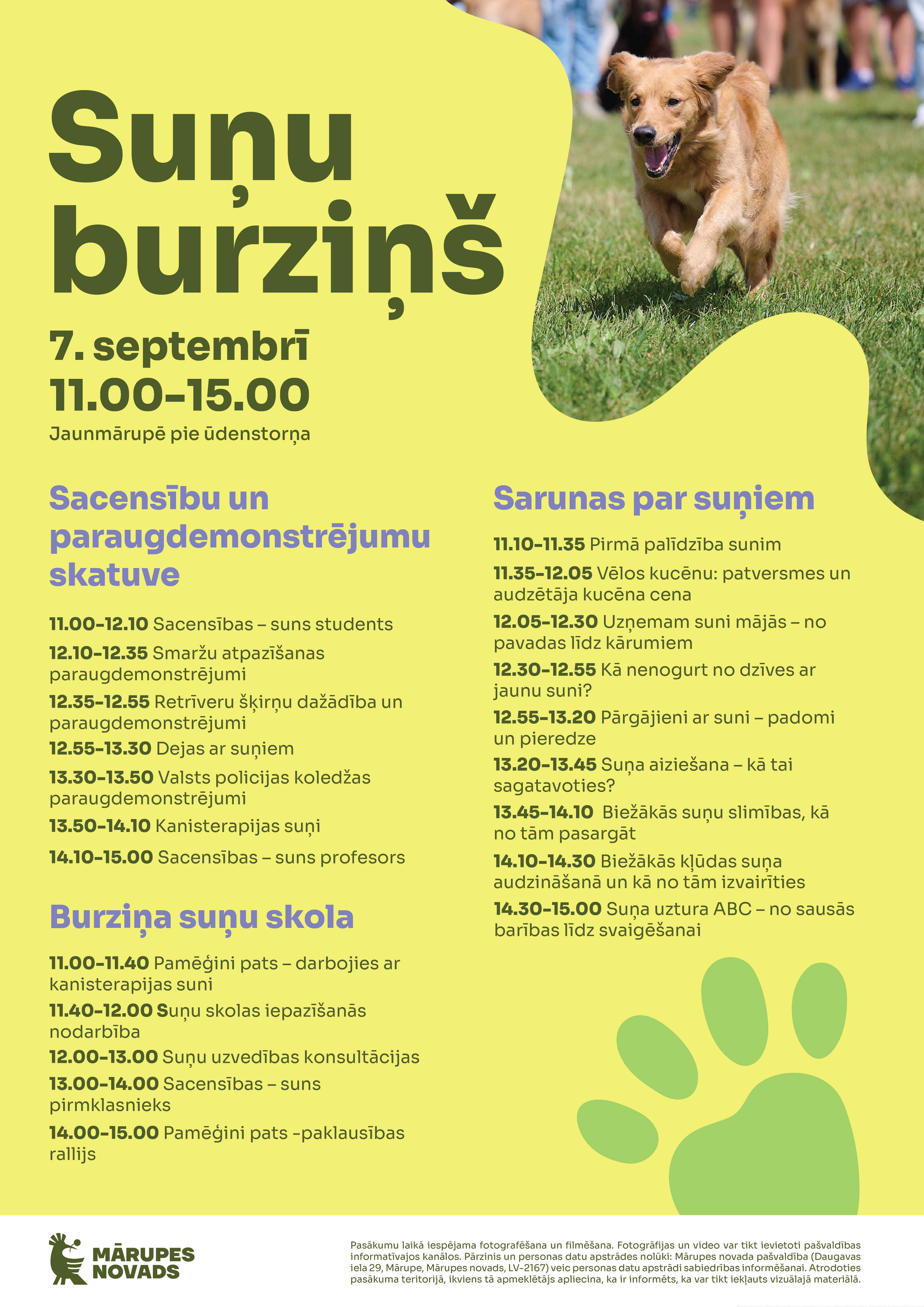 Dzeltens fons ar suņa attēlu un krāsainu grafiku par pasākumu suņiem
