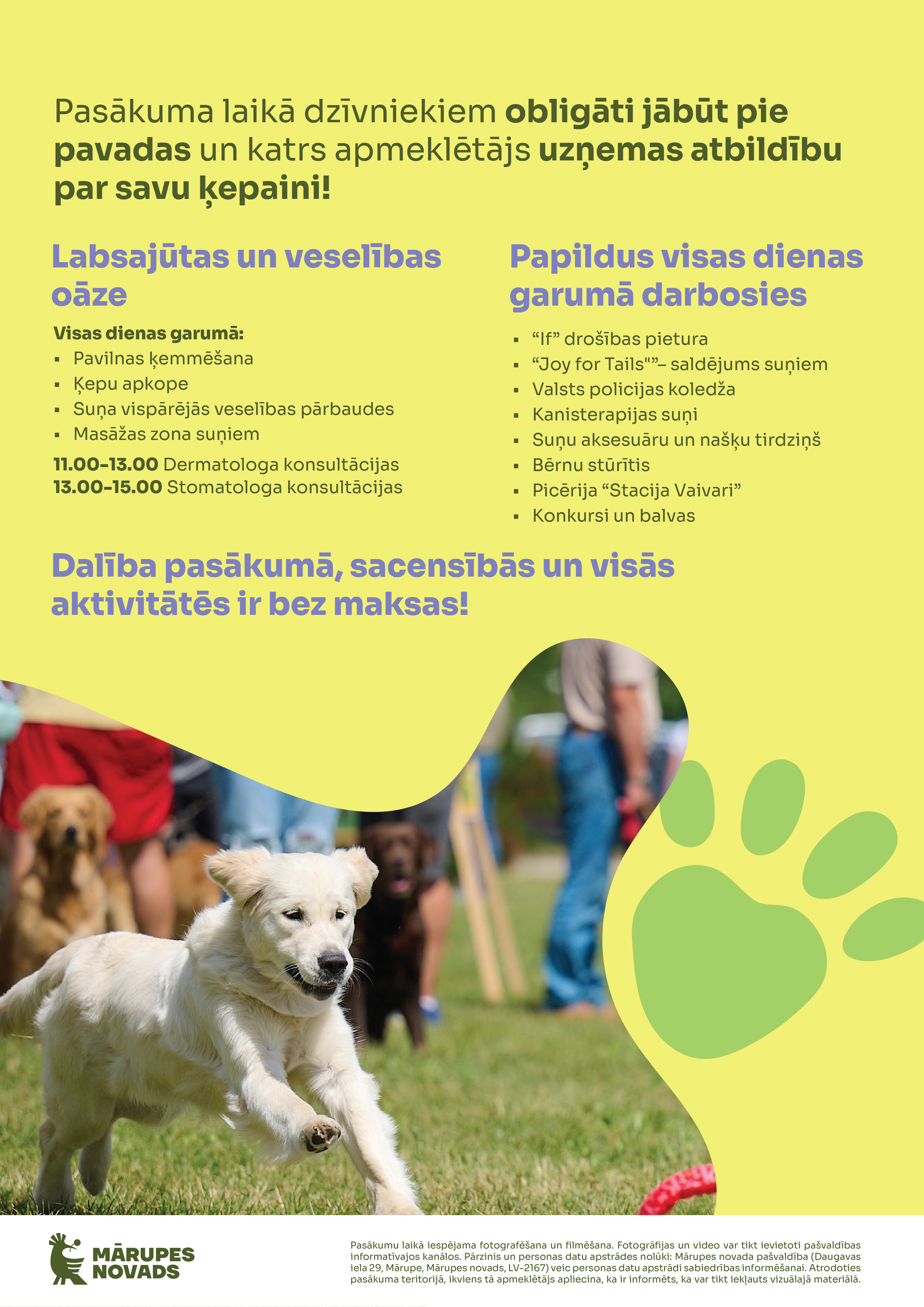 Dzeltens fons ar suņa attēlu un krāsainu grafiku par pasākumu suņiem