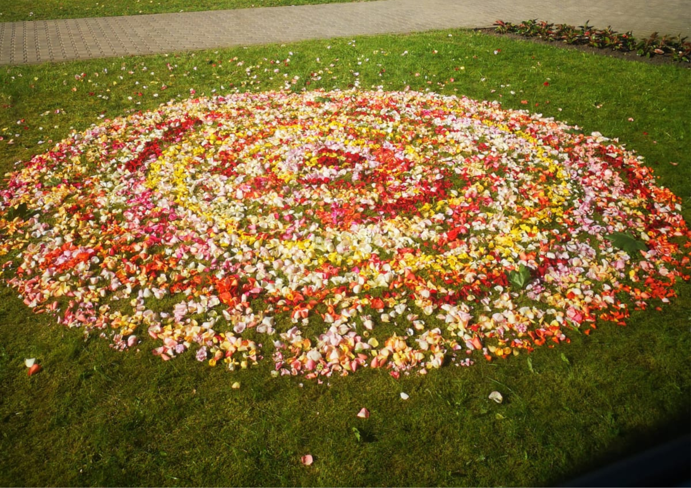 Mandala 1 