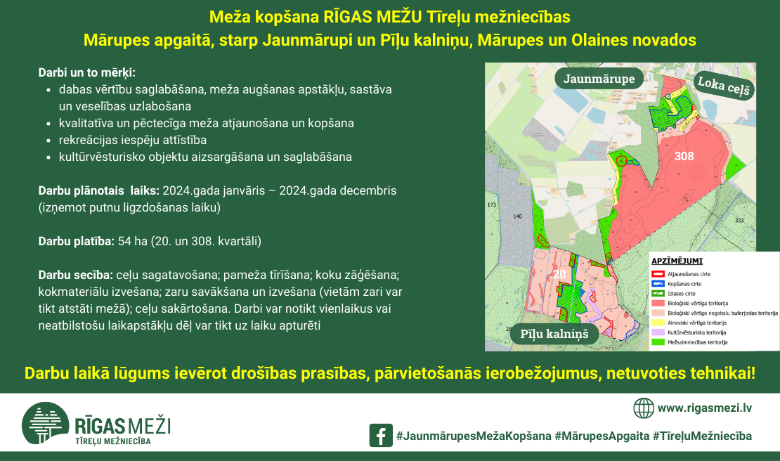 Grafisks vizuālis