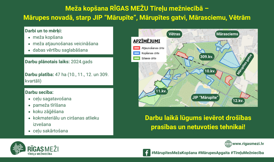Grafisks vizuālis