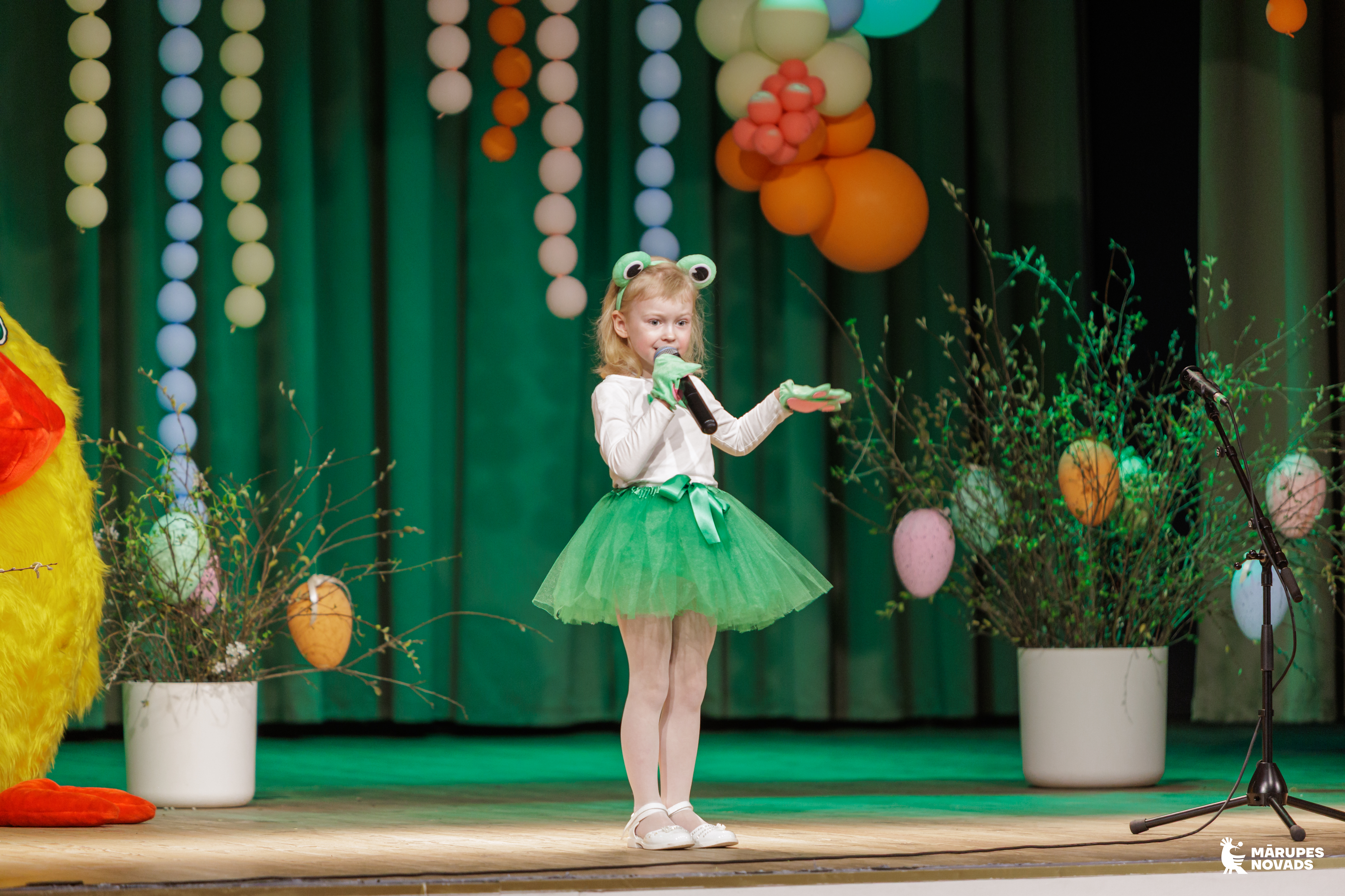 DZIED UZ SKATUVES MAZA MEITENĪTE