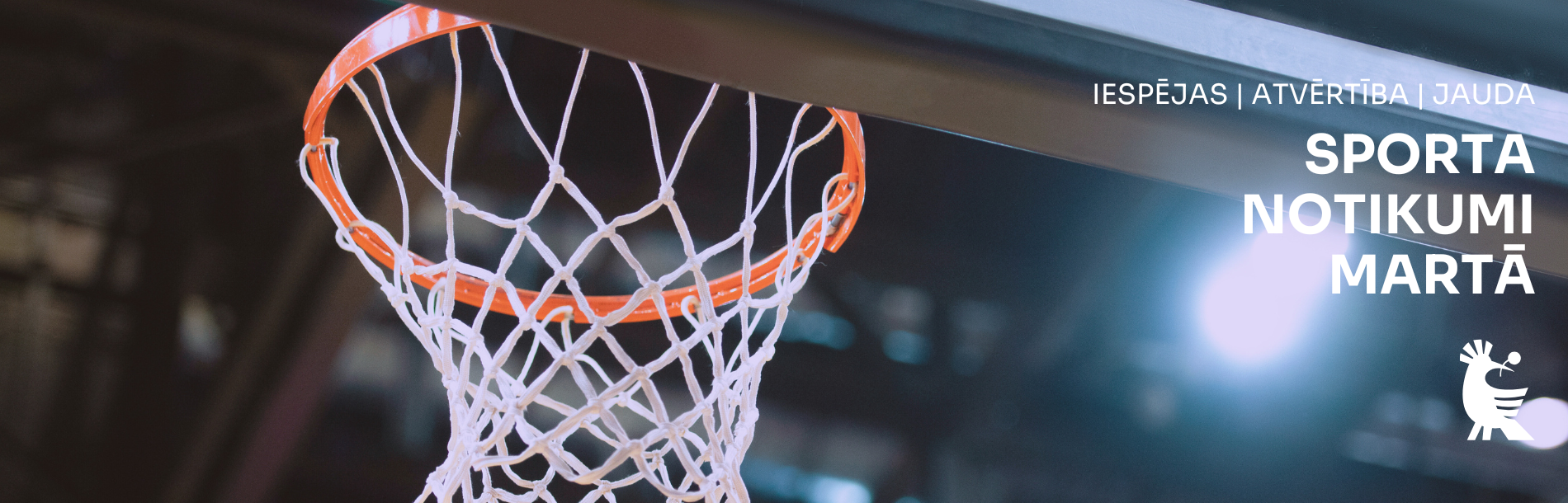 Basketbola grozs un balti burti un logo