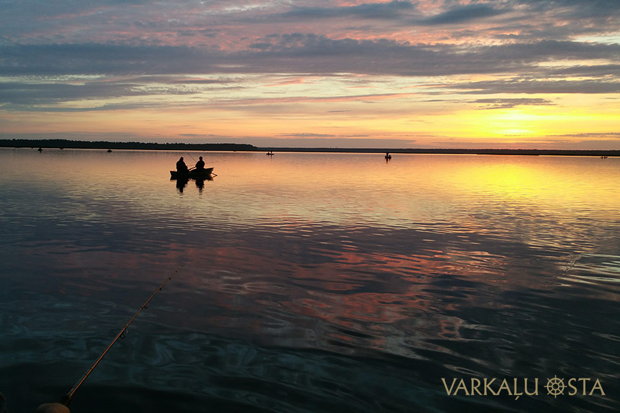 Varkaļu osta