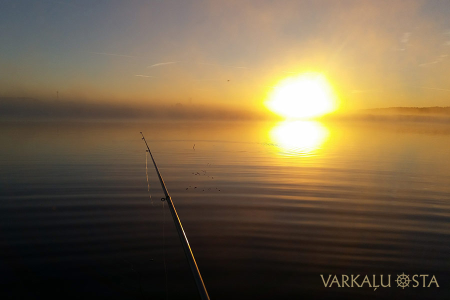 Varkaļu osta