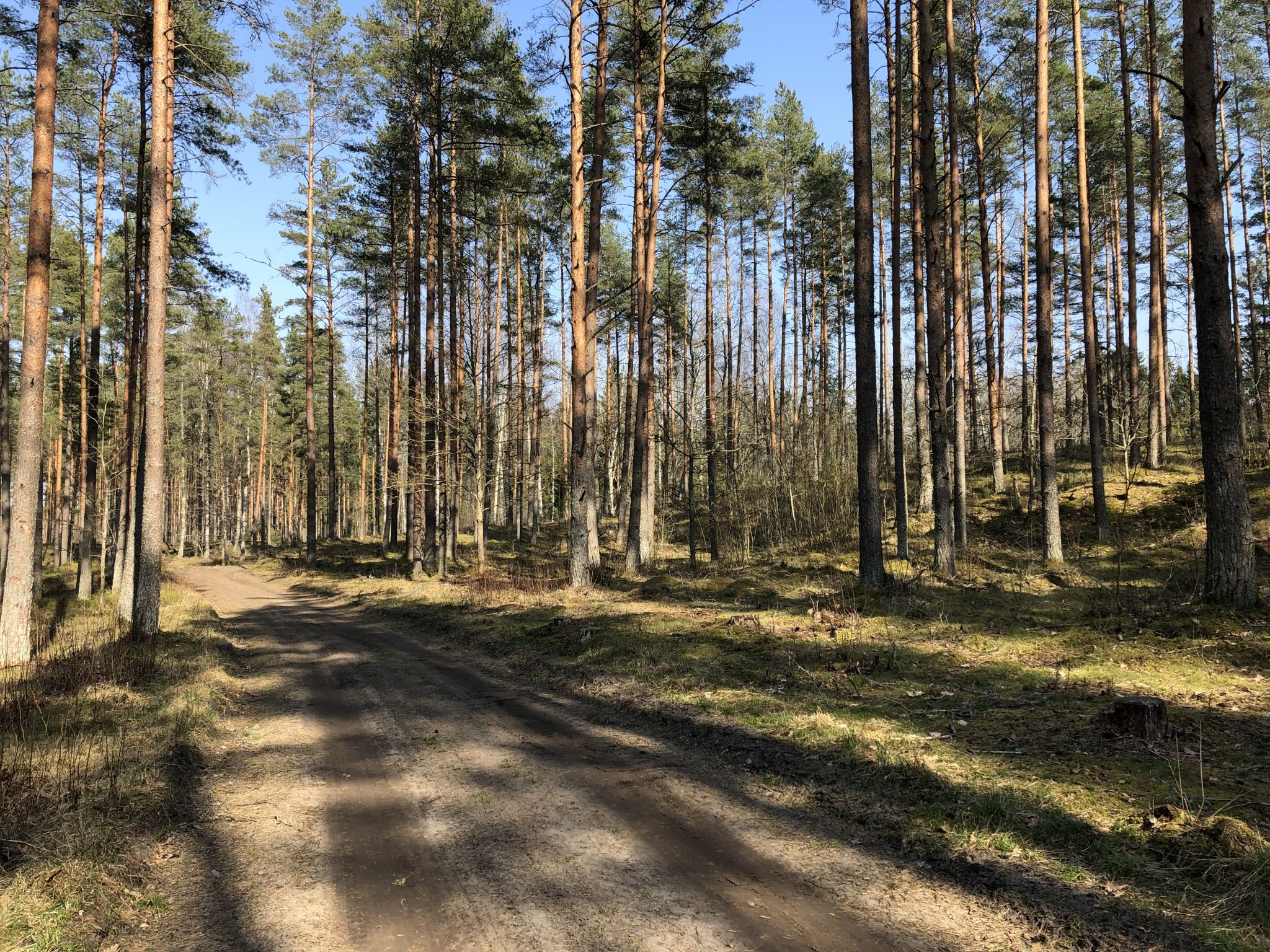 Ziemassvētku kauju piemiņas vieta