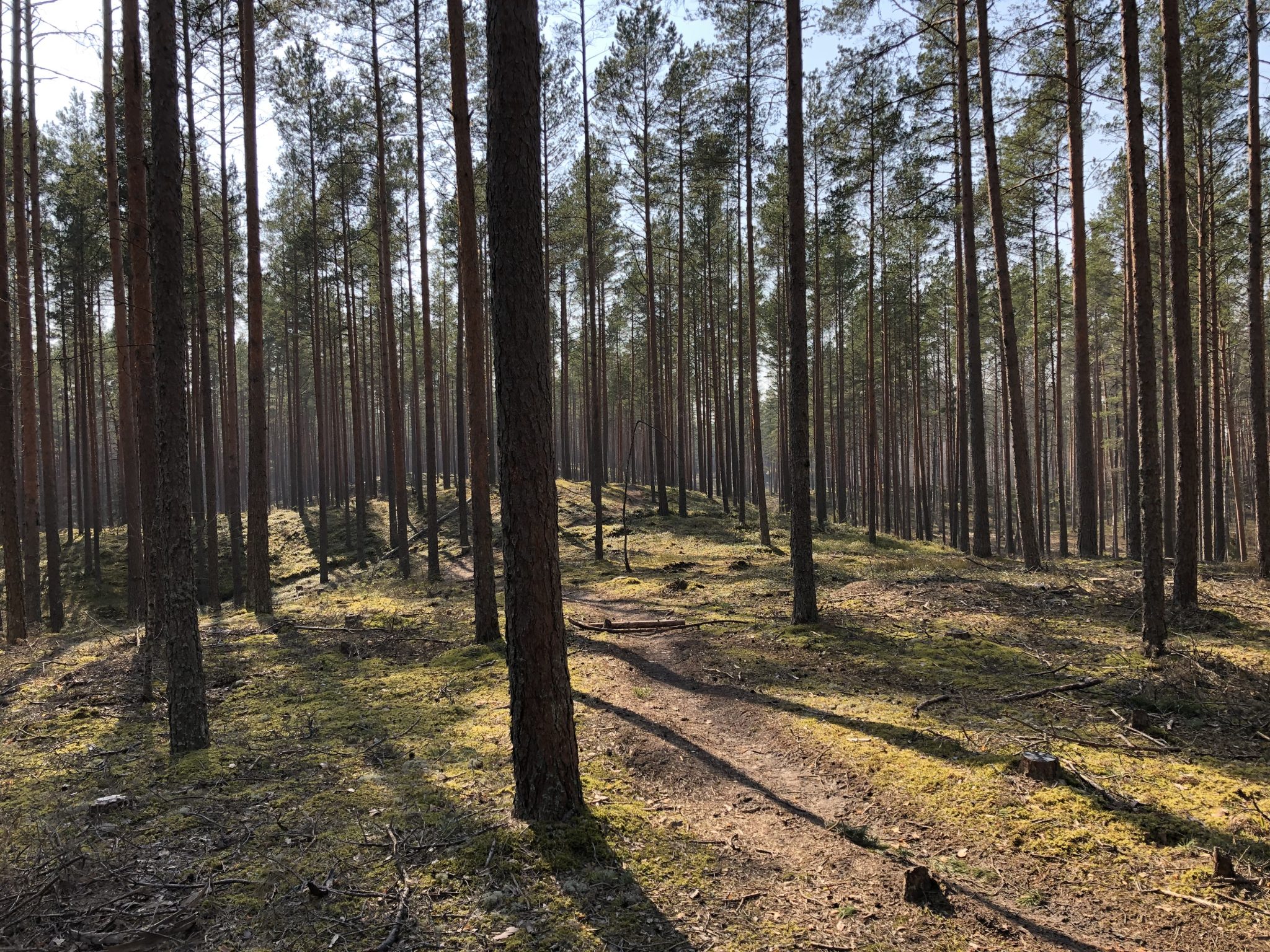 Ziemassvētku kauju piemiņas vieta