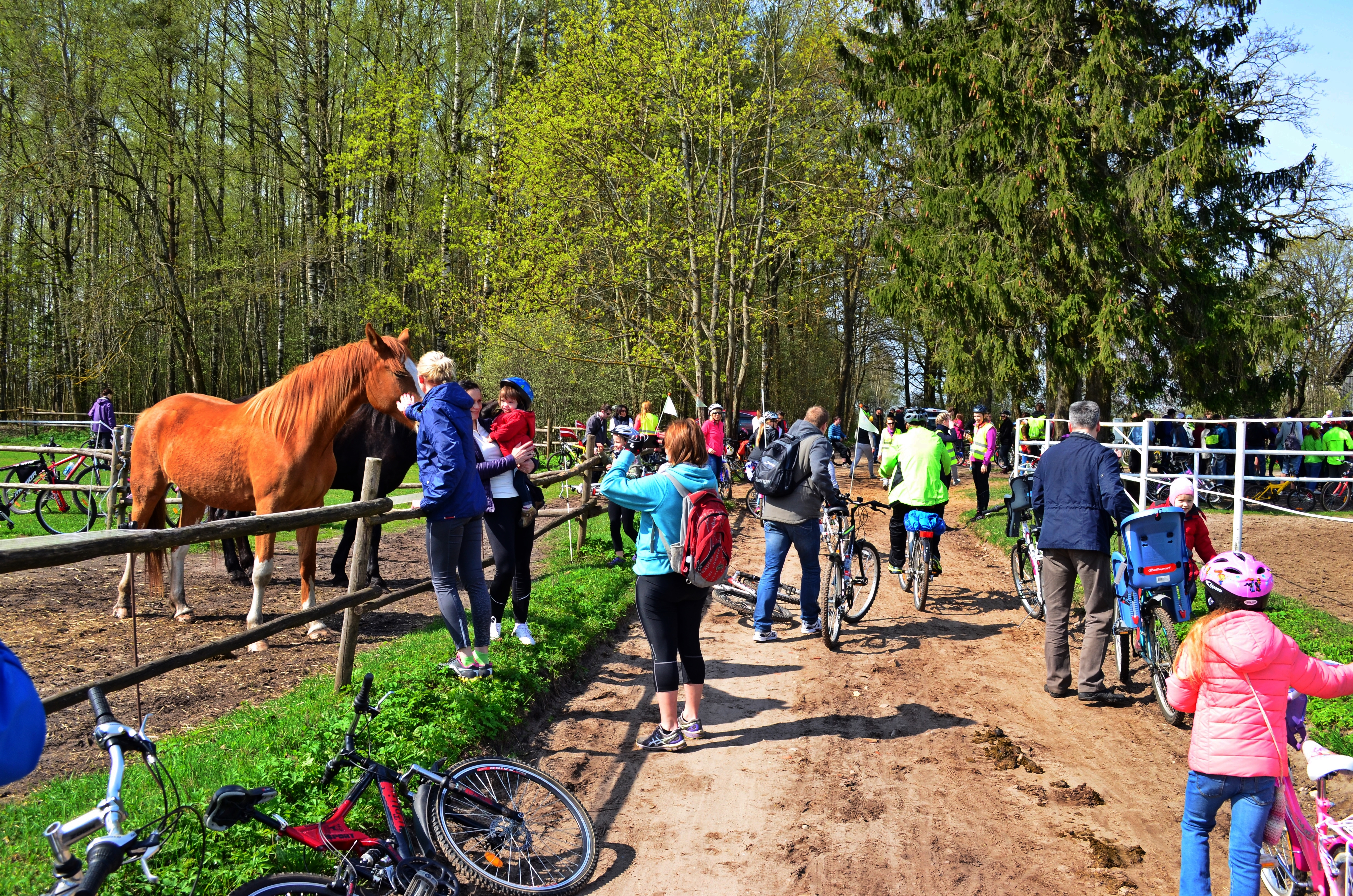 Zirgzandales_turisma_sezonas_atklasana_2015.JPG