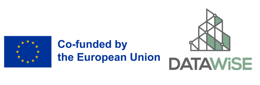 Datawise projekta logo