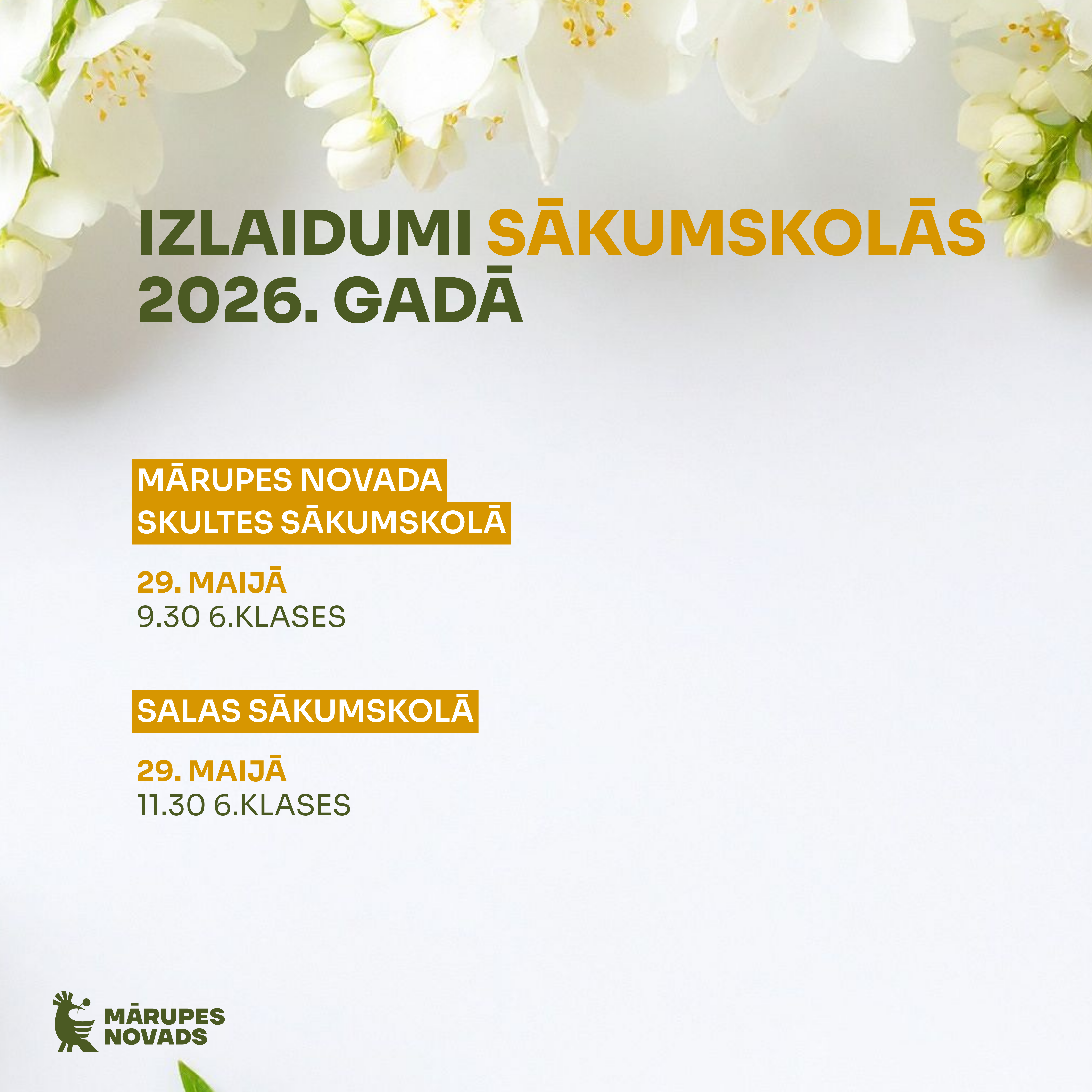 Gaišs vizuālis
