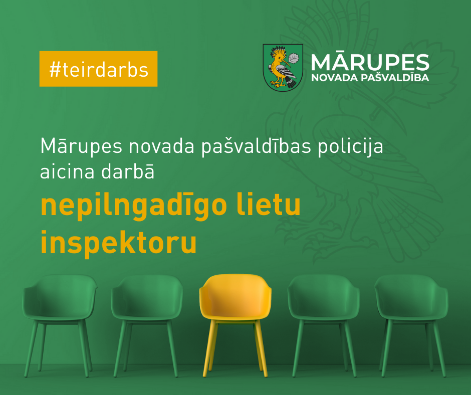 Nepilngadīgo lietu inspektors