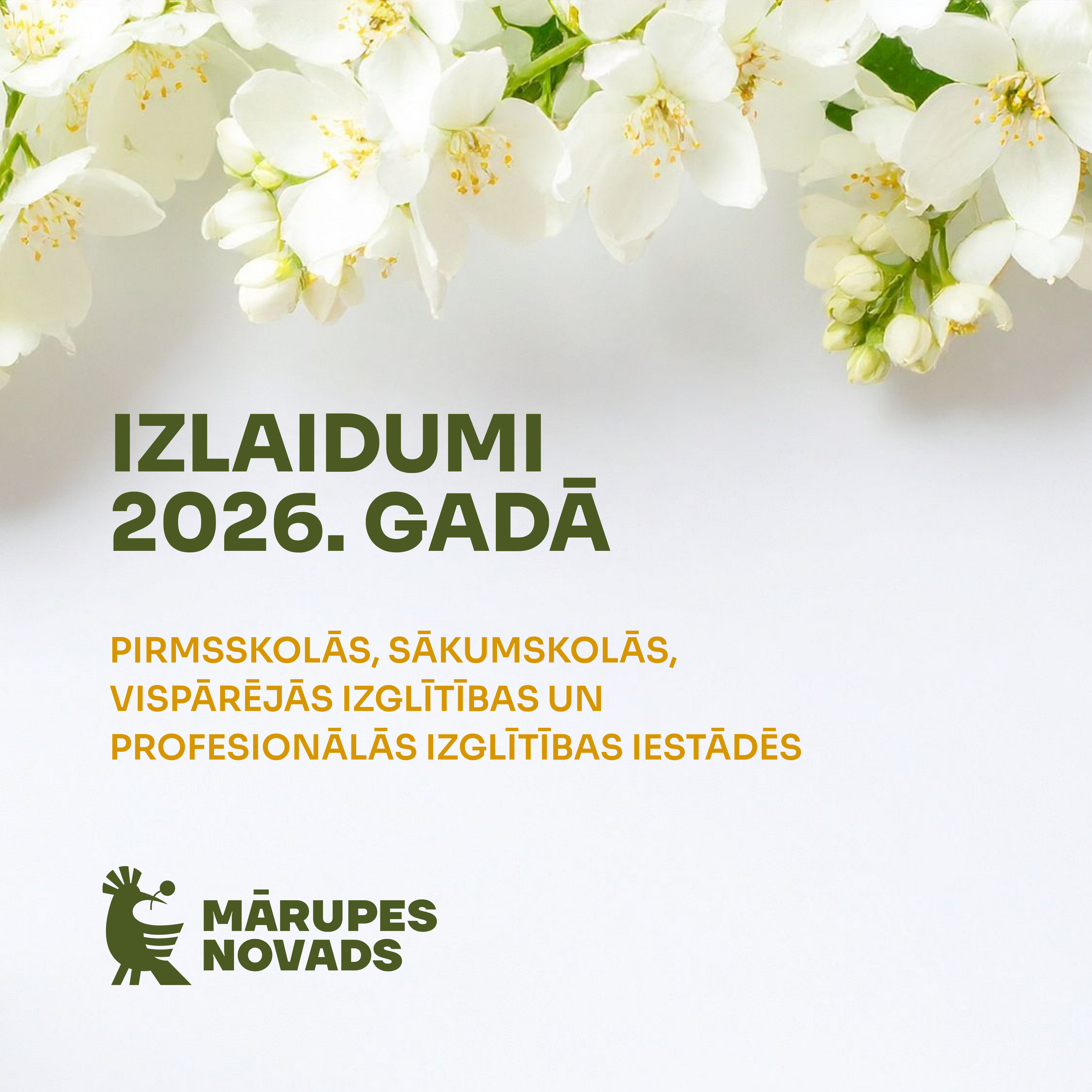 Gaišs vizuālis