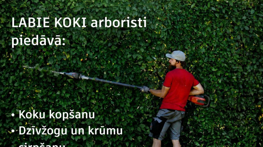 Koku kopšanas un dzīvžogu cirpšanas pakalpojumi