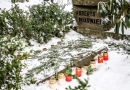 Barikāžu atceres brīdis Mārupē pie Roberta Mūrnieka atdusas vietas, 16.01.2017.