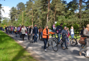 Bērnu un jauniešu svētki “Ar vasaru saujā”, 31.05.2015.