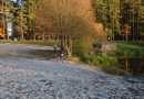 Rudens kross Mārupē – sezonas noslēguma posms 29.10.2015.