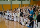 Starptautiskās taekvondo sacensības Mārupē, 25.04.2015.